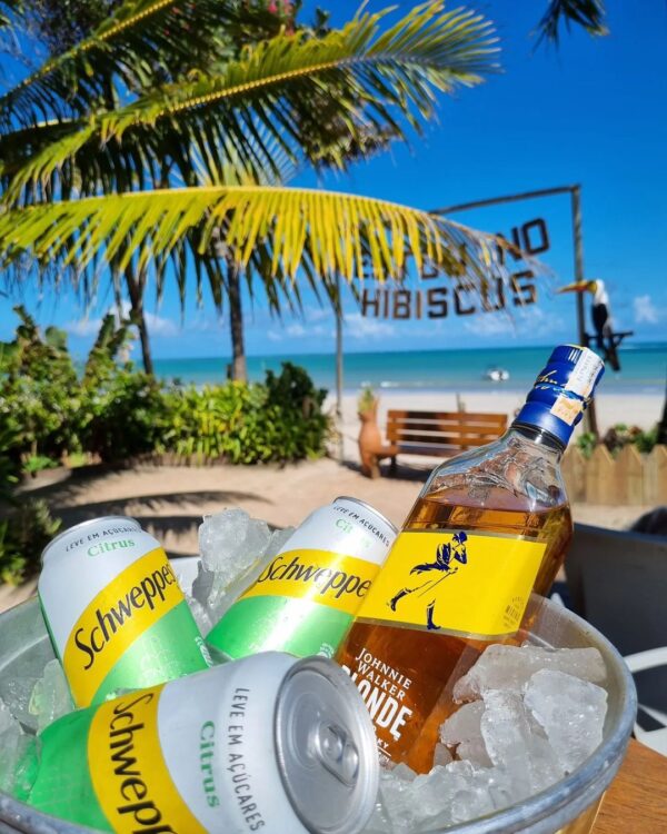 HIBISCUS BEACH CLUB / PRAIA DE IPIOCA - Image 3