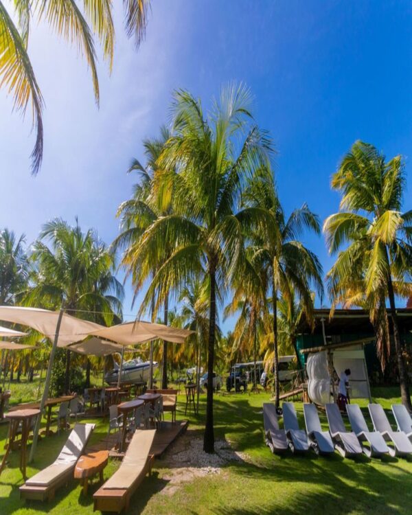 HIBISCUS BEACH CLUB / PRAIA DE IPIOCA - Image 2